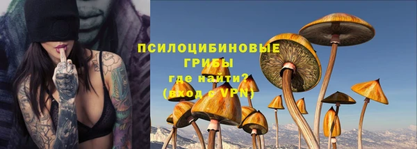сатива Елизово