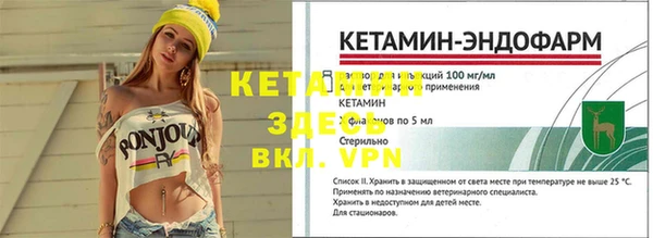 мяу мяу мука Елабуга