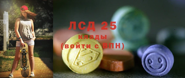 spice Ельня