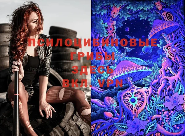 spice Ельня