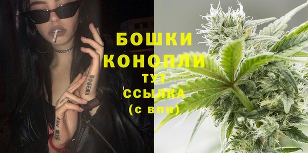 сатива Елизово