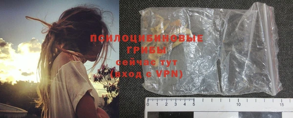 spice Ельня