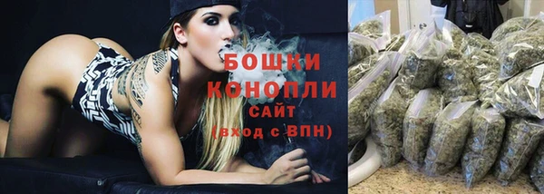 spice Ельня