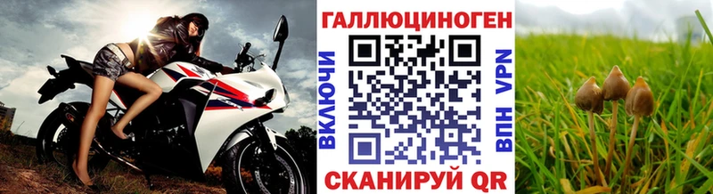 Галлюциногенные грибы Magic Shrooms  Купить  Избербаш 